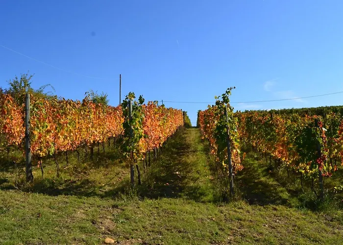 Agriturismo Costa Dei Platani
